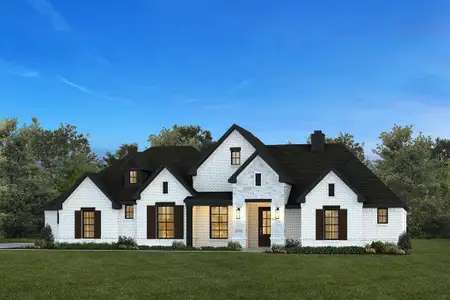 New construction Single-Family house 241 Palo Duro, Aledo, TX 76008 plan The Arlington - image