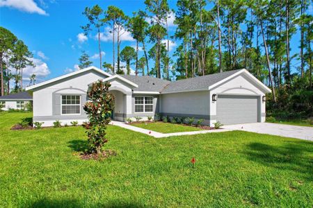 New construction Single-Family house 27 Poindexter Ln, Palm Coast, FL 32164 null- photo 60 60