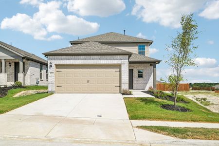 New construction Single-Family house 1275 Wild Cherry Wy, Van Alstyne, TX 75495 plan Rosemary - image