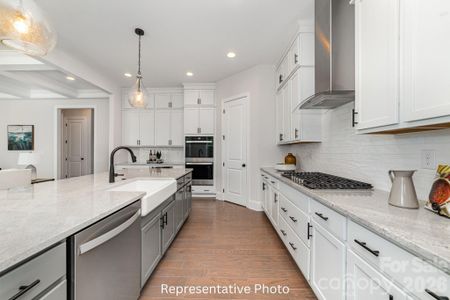New construction Single-Family house 1290 Sage Pine Cir, Unit 17, Clover, SC 29710 - image 14