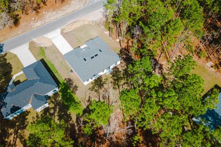 New construction Single-Family house 6732 Sw 132Nd St, Ocala, FL 34473 null- photo 33 33