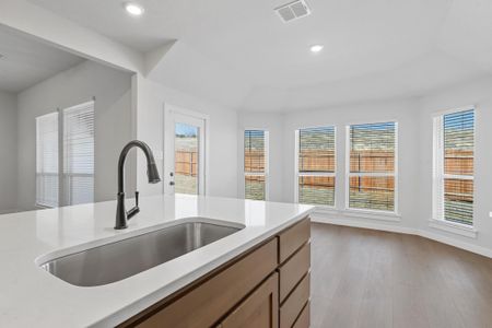 New construction Single-Family house Glen Rose, TX 76043 plan Iverson I - image 11