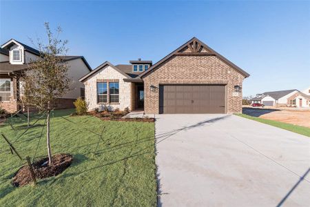 New construction Single-Family house 1245 Comal Ln, Springtown, TX 76082 null- photo 6 6