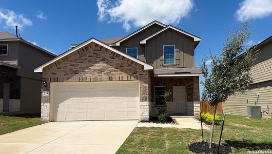 New construction Single-Family house 249 Violet Sylph, San Antonio, TX 78253 plan The Nicole - image