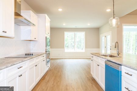 New construction Single-Family house 156 Piney Woods Dr, Newnan, GA 30263 Morton A- photo 3 3