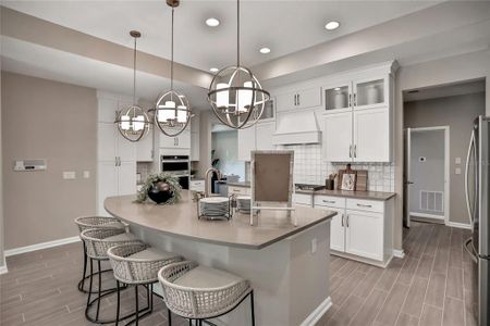 Silver Landing at SilverLeaf by Dream Finders Homes in St. Augustine - photo 27 27