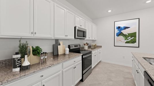 New construction Single-Family house 14007 Aledo Ct, Fort Myers, FL 33905 plan Segan - image