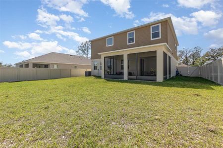 New construction Single-Family house 204 Pinecrest Rd, Mount Dora, FL 32757 The Orion V- photo 25 25