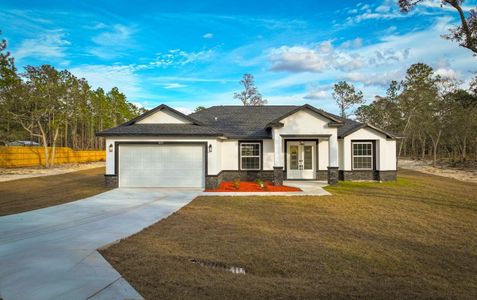 New construction Single-Family house 8269 Sw 122Nd Ave, Dunnellon, FL 34432 - image