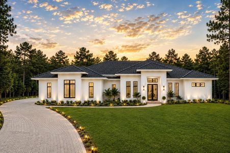New construction Single-Family house 181 Branding Iron Rd, Huntsville, TX 77340 - image