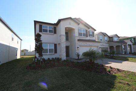 New construction Single-Family house 38338 Tobiano Loop, Dade City, FL 33525 Mira Lago- photo 146 146