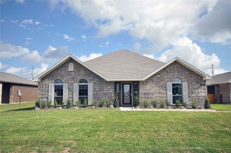 New construction Single-Family house 3511 Purlin St, League City, TX 77539 - image