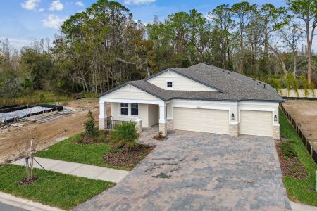 New construction Single-Family house 20219 Oriana Loop, Land O' Lakes, FL 34638 Corina  III- photo 108 108