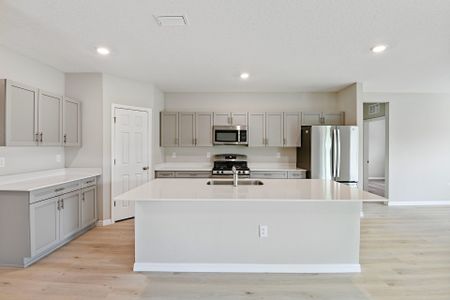 New construction Single-Family house 12842 Canter Call Rd, Lithia, FL 33547 null- photo 24 24