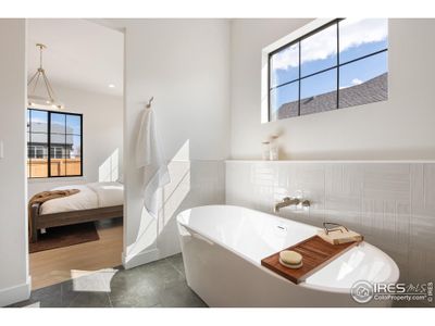 New construction Single-Family house 165 Boxwood Dr, Windsor, CO 80550 - image 7