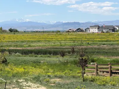 New construction Single-Family house 1365 Weller Ct, Timnath, CO 80547 plan 3 - image 7