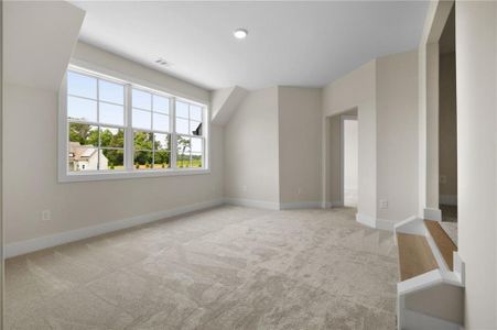 New construction Single-Family house 157 Palisade Dr Ne, Rydal, GA 30171 - image 16