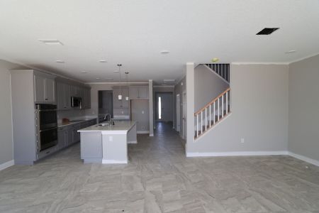 New construction Single-Family house 2350 Clary Sage Dr, Spring Hill, FL 34609 Sonoma II- photo 80 80