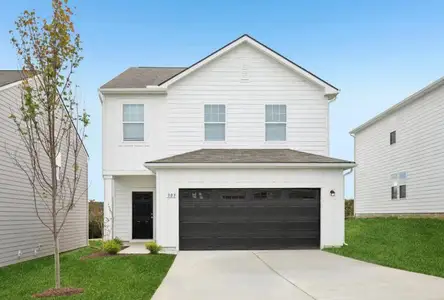 New construction Single-Family house 1253 Carriage Wood Cir, Ridgeville, SC 29472 - image