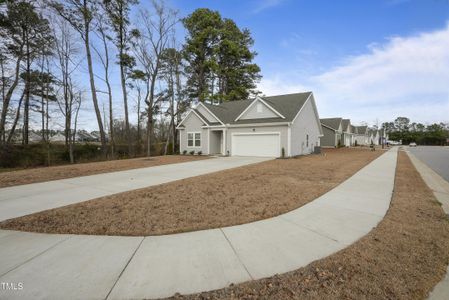 New construction Single-Family house 88 Molly Mac Ln, Angier, NC 27501 null- photo 3 3