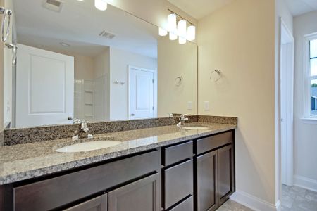 New construction Single-Family house 8613 Connor Ct, North Charleston, SC 29406 plan Ellis - image 7