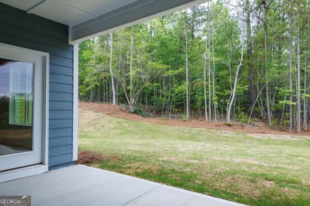 New construction Single-Family house 156 Piney Woods Dr, Newnan, GA 30263 Morton A- photo 13 13