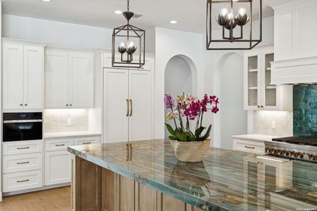 New construction Single-Family house 7006 Bluff Run, San Antonio, TX 78257 - image 17