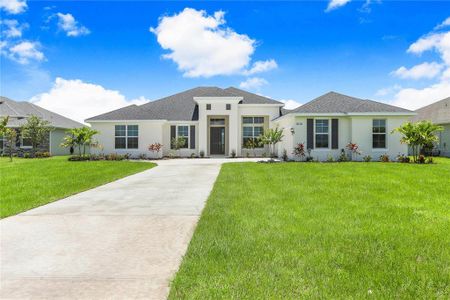 New construction Single-Family house 5112 Lake Toscana Dr, Wimauma, FL 33598 Burano- photo 1 1