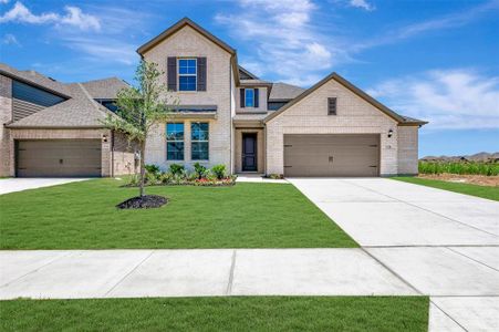 New construction Single-Family house 1728 Monarch Haven Wy, Oak Point, TX 75068 plan Balcones - image