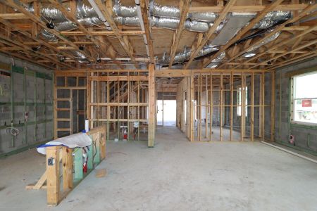 New construction Single-Family house 3070 Adams Cross Dr, Zephyrhills, FL 33540 Castellana- photo 51 51