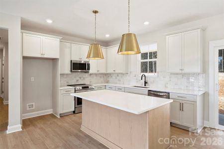 New construction Single-Family house 2263 Lee Lawing Rd, Lincolnton, NC 28092 - image 4