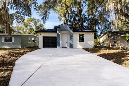 New construction Single-Family house 610 Reddick St, Eustis, FL 32726 - image