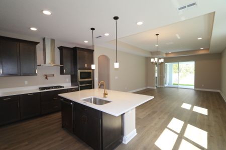 New construction Single-Family house 20339 Oriana Loop, Land O' Lakes, FL 34638 Newport II- photo 137 137