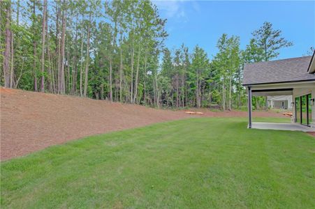 New construction Single-Family house 172 Forest Berry Ct, Newnan, GA 30265 - image 3