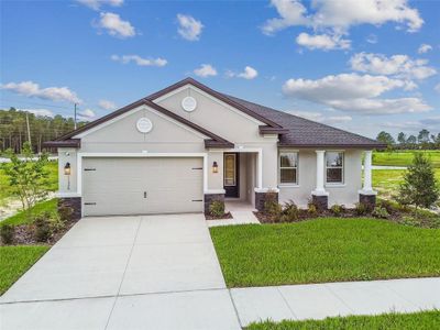 New construction Single-Family house 11324 Striped Bass Ct, New Port Richey, FL 34654 plan Donatello - image 2