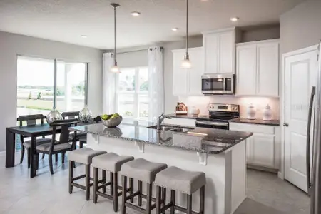 New construction Single-Family house 2578 White Ladyfish Rd, Wimauma, FL 33598 plan Panama - image 12