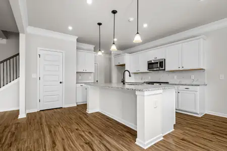 New construction Single-Family house 117 Townsend Wy, Unit 229, Chapel Hill, TN 37034 plan The Harrington - image 4