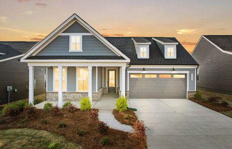 New construction Single-Family house 1116 Calm Cove Ln, Belmont, NC 28012 plan Palmary - image