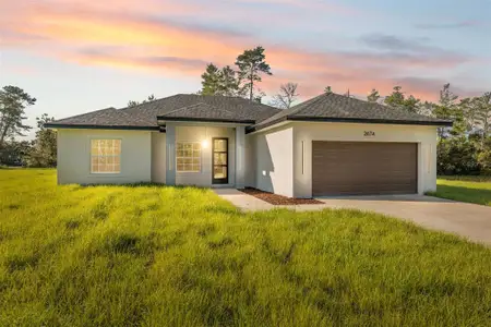 New construction Single-Family house 2674 Sw 173Rd Place Rd, Ocala, FL 34473 - image