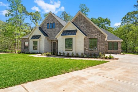 New construction Single-Family house 6 Homestead Hill Rd, New Waverly, TX 77358 - image