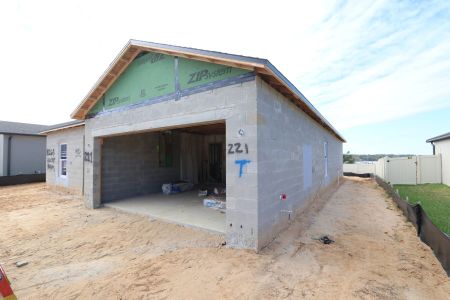 New construction Single-Family house 12263 Hilltop Farms Dr, Dade City, FL 33525 Sentinel- photo 45 45