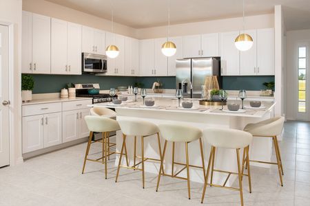 New construction Single-Family house 9008 Wildlight Trl, Wildwood, FL 34785 plan Hampton II - image 6