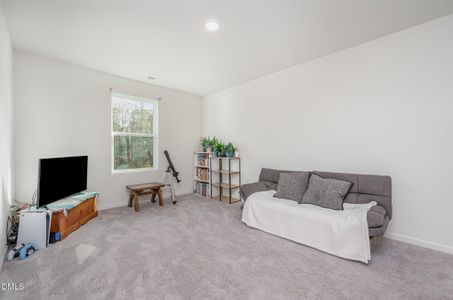 New construction Single-Family house 904 Rift Valley Dr, Zebulon, NC 27597 - image 13