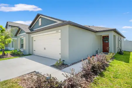 New construction Single-Family house 13213 Peachleaf Ave, Riverview, FL 33579 - image