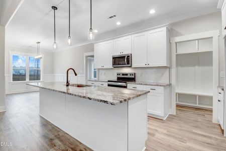 New construction Single-Family house 17 Birchtop Cir, Zebulon, NC 27597 - image 16