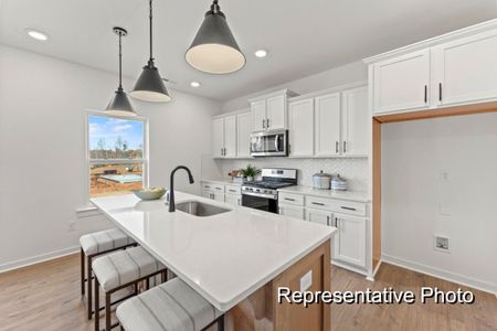 New construction Single-Family house 127 S Buggy Dr, Benson, NC 27504 plan The Whitney - image 9