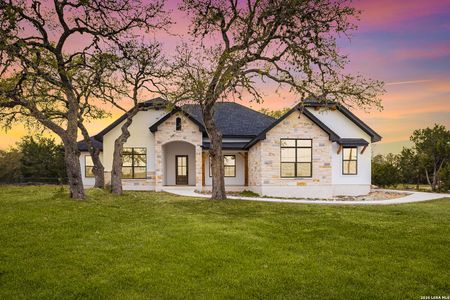 New construction Single-Family house 220 Toucan Dr, Spring Branch, TX 78070 - image