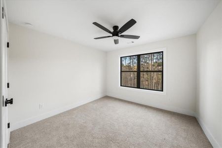 New construction Single-Family house 3040 Cypress Cv, Ball Ground, GA 30107 - image 17