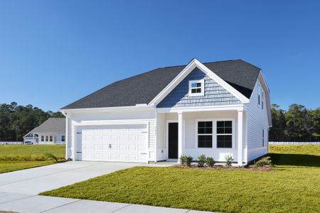New construction Single-Family house 1937 Deercreek Dr, Manning, SC 29102 plan Howard - image