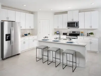 New construction Single-Family house 1642 Coolridge Pl, Zephyrhills, FL 33541 plan Essex - image